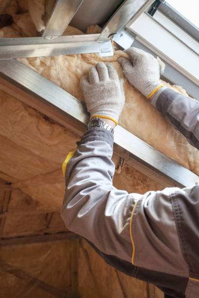 Best Insulation Air Sealing  in Creve Coeur, IL