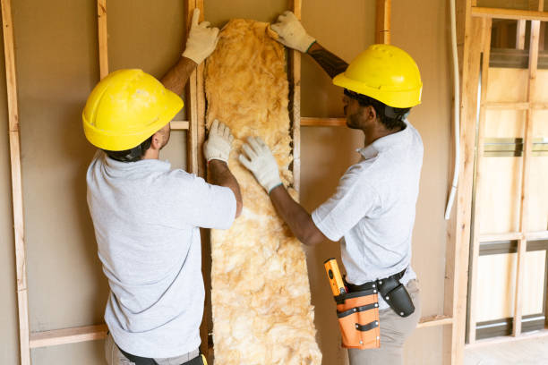 Best Pipe and Duct Insulation  in Creve Coeur, IL