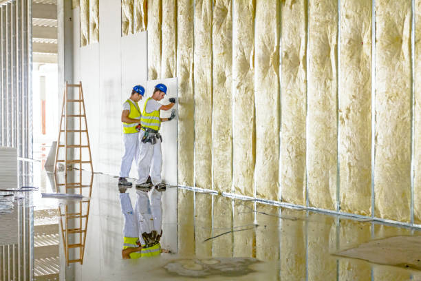 Best Basement Insulation  in Creve Coeur, IL